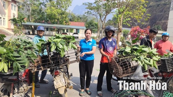 Thanh Hoá: Hỗ trợ phụ nữ phát triển kinh tế